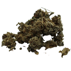 Mango - Indoor - 5,6% ABC du CBD