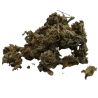 Mango - Indoor - 5,6% ABC du CBD