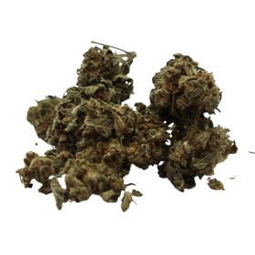 Mango - Indoor - 5,6% de CBD
