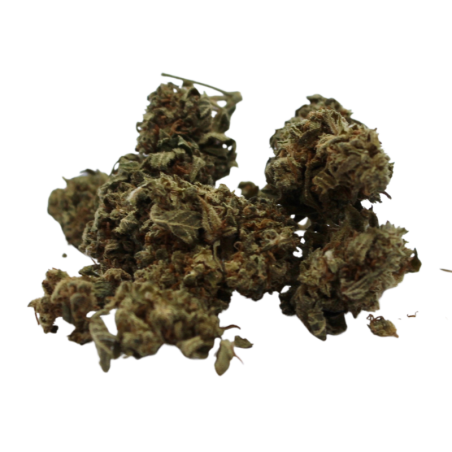 Mango - Indoor - 5,6% de CBD