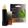 CBD-Produkt: CBD-Lippenbalsam - INDIA COSMETICS