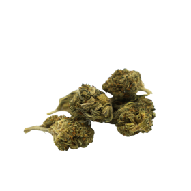 Flor de CBD: ABC Berry cabeza pequeña - Exterior - 4% CBD - ABC du CBD