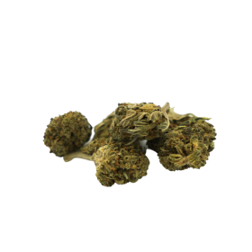 CBD flower: ABC Berry small head - Outdoor - 4% CBD - ABC du CBD