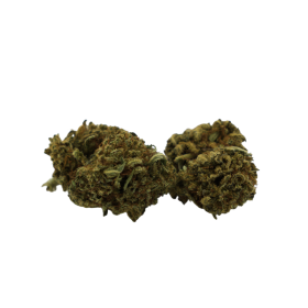 CBD-Blume: Bubble Gum CBD – Indoor – 6,8 % ABC du CBD