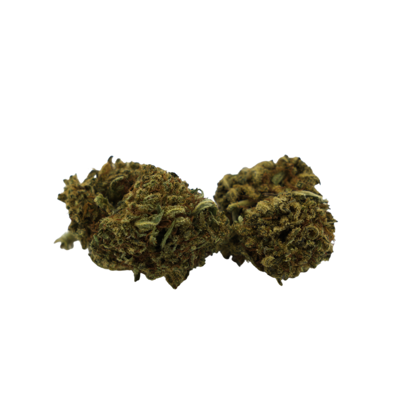 Fleur CBD : Bubble Gum CBD - Indoor - 6,8% ABC du CBD