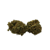 Fleur CBD : Bubble Gum CBD - Indoor - 6,8% ABC du CBD