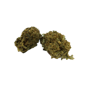 CBD-Blume: Bubble Gum CBD – Indoor – 6,8 % ABC du CBD