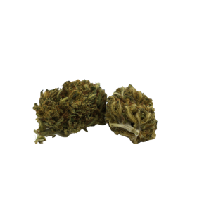 Fiore di CBD: Bubble Gum CBD - Indoor - 6,8% ABC du CBD