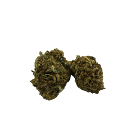 CBD-Blume: Bubble Gum CBD – Indoor – 6,8 % ABC du CBD