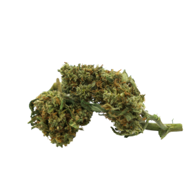 Fleur CBD : Fleurs de CBG - 7% CBG 3% CBD - ABC du CBD