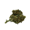 Fleurs de CBG - 7% CBG - ABC du CBD