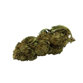 Fleur CBD : Obi-Wan CBD - Indoor - 4,8% ABC du CBD
