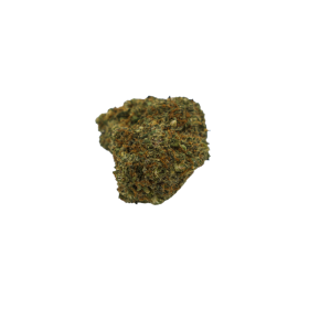 Blueberry CBD - Hydroponique - 11% ABC du CBD