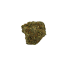 Blueberry CBD - Hydroponique - 11% ABC du CBD