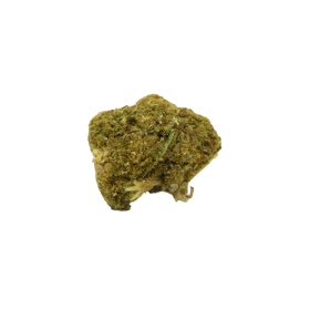 Fenoqueen CBD - Hydroponique - 13% ABC du CBD