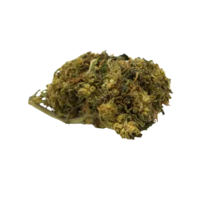 Fleur CBD : Orange Bud CBD - Greenhouse - 8,40% ABC du CBD