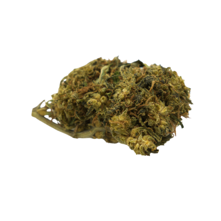 Fleur CBD : Orange Bud CBD - Greenhouse - 8,40% ABC du CBD