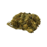 CBD-Blume: Orange Bud CBD – Gewächshaus – 8,40 % ABC du CBD