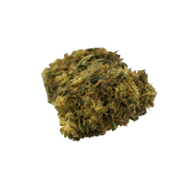 CBD-Blume: Orange Bud CBD – Gewächshaus – 8,40 % ABC du CBD