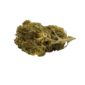 Fleur CBD : Orange Bud CBD - Greenhouse - 8,40% ABC du CBD