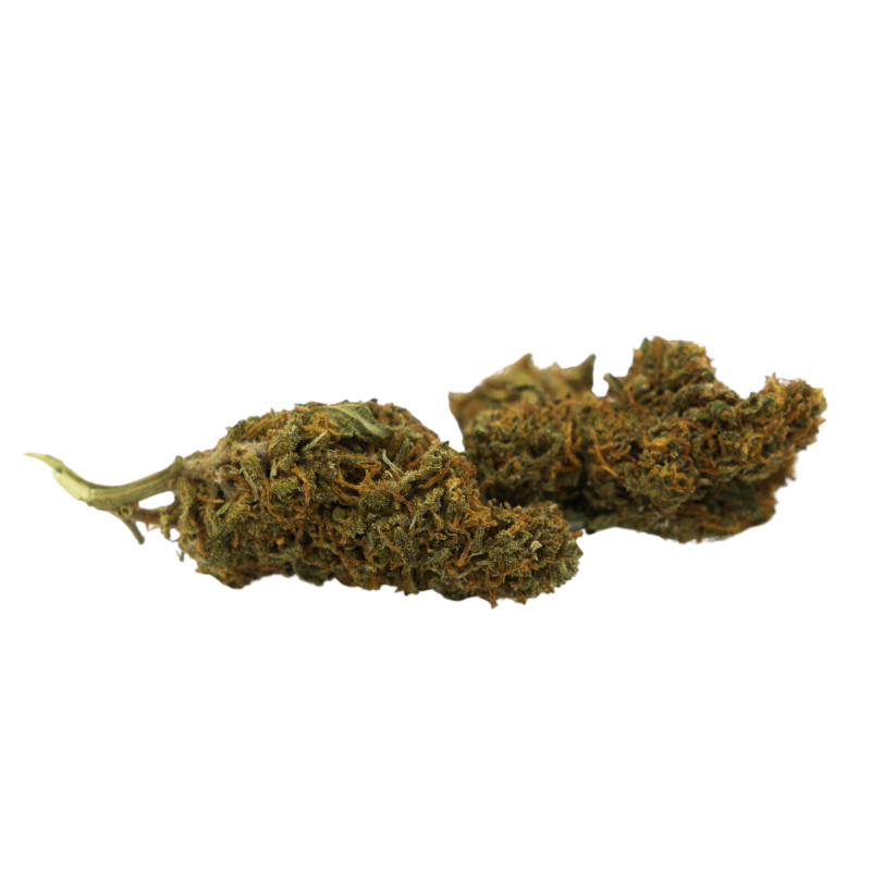 Fiore CBD: Fragola CBD - Indoor - 4,6% ABC du CBD