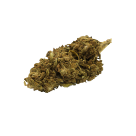 Flor de CBD: Cherry X Remedy CBD - Invernadero - 6,3% ABC du CBD