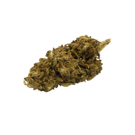 Flor de CBD: Cherry X Remedy CBD - Invernadero - 6,3% ABC du CBD