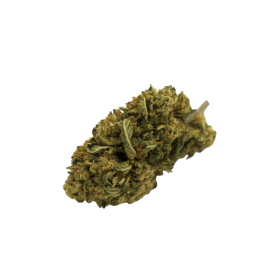 CBD-Blume: Juicy Fruit CBD – Gewächshaus – 5,1 % ABC du CBD