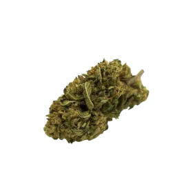 Fleur CBD : Juicy Fruit CBD - Greenhouse - 5,1% ABC du CBD