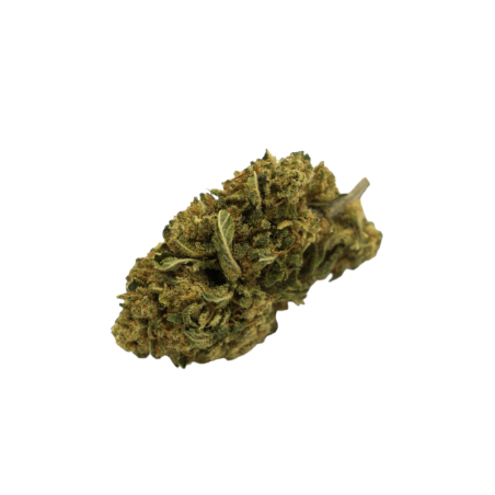 Fleur CBD : Juicy Fruit CBD - Greenhouse - 5,1% ABC du CBD