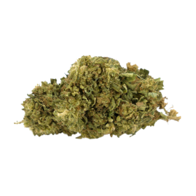 CBD-Blume: Super Lemon Haze CBD – Outdoor – 3,1 % ABC du CBD