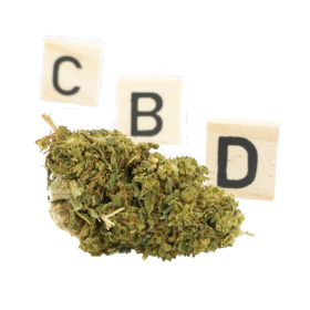 Fleur CBD: Super Lemon Haze CBD - Outdoor - 3,1% ABC du CBD