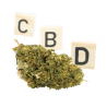 CBD Flower: Super Lemon Haze CBD - Outdoor - 3.1% ABC du CBD