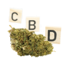 CBD-Blume: Super Lemon Haze CBD – Outdoor – 3,1 % ABC du CBD