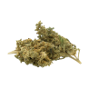 CBD Flower: Mango CBD - Indoor - 5.6% ABC du CBD