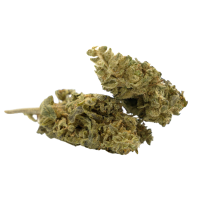 CBD Flower: Mango CBD - Indoor - 5.6% ABC du CBD