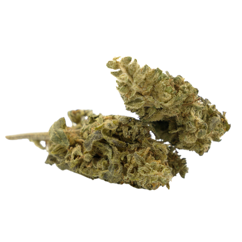 CBD-Blume: Mango CBD – Indoor – 5,6 % ABC du CBD