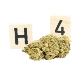 Flower H4CBD: White Frost H4CBD 30% - ABC du CBD