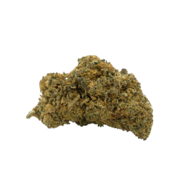 CBD-Blume: CBD-Gelato – Gewächshaus – 5,9 % ABC du CBD