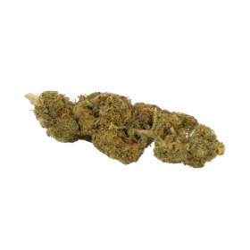 CBD-Blume: CBD-Gelato – Indoor – 7,2 % ABC du CBD