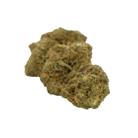 CBD-Blume: CBD-Gelato – Indoor – 7,2 % ABC du CBD