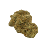 CBD-Blume: CBD-Gelato – Indoor – 7,2 % ABC du CBD