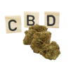 CBD-Blume: CBD-Gelato – Indoor – 7,2 % ABC du CBD