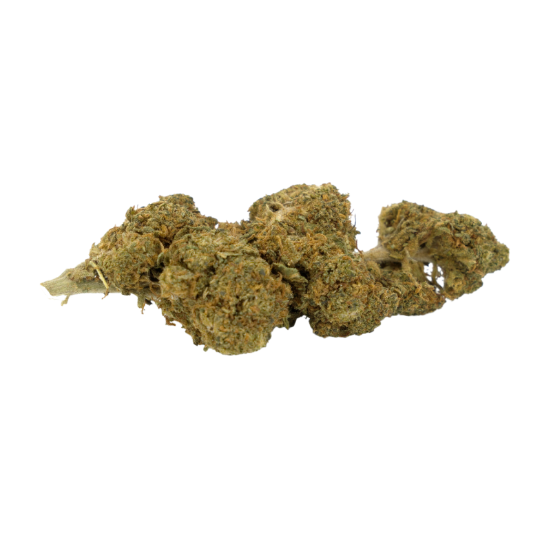 CBD-Blume: CBD-Gelato – Indoor – 7,2 % ABC du CBD