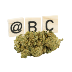 CBD-Blume: Alien Fruit CBD – Indoor – 9,6 % ABC du CBD