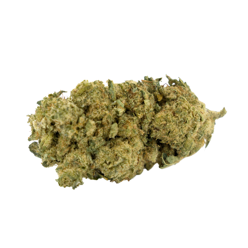 CBD-Blume: Alien Fruit CBD – Indoor – 9,6 % ABC du CBD