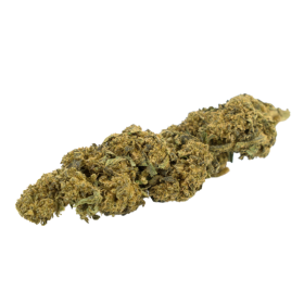 CBD-Blume: Mysteria CBD – Gewächshaus – 5,1 % ABC du CBD