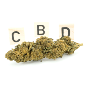 CBD Flower: Mysteria CBD - Greenhouse - 5.1% ABC du CBD