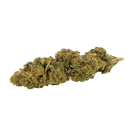 Fiore CBD: Mysteria CBD - Serra - 5,1% ABC du CBD