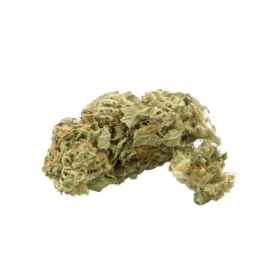 Fiore CBD: Premium OG Kush CBD - Indoor - 12% ABC du CBD